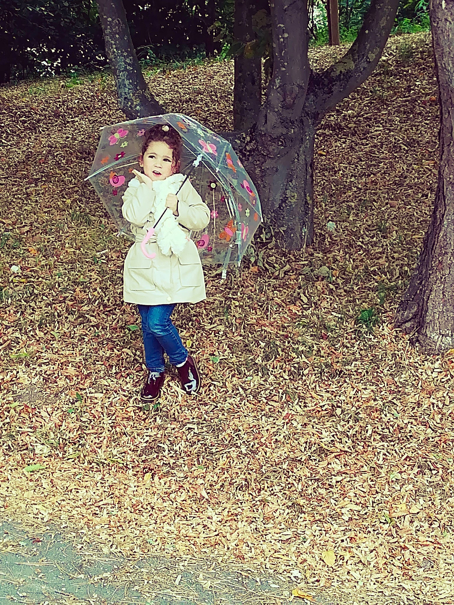 Inès participe au concours pour gagner de l'argent avec cette photo : autumn, botany, branch, child, deciduous, forest, fun, grass, leaf, leisure, person, photography, plant, play, spring, tints_and_shades, toddler, tree, woody_plant