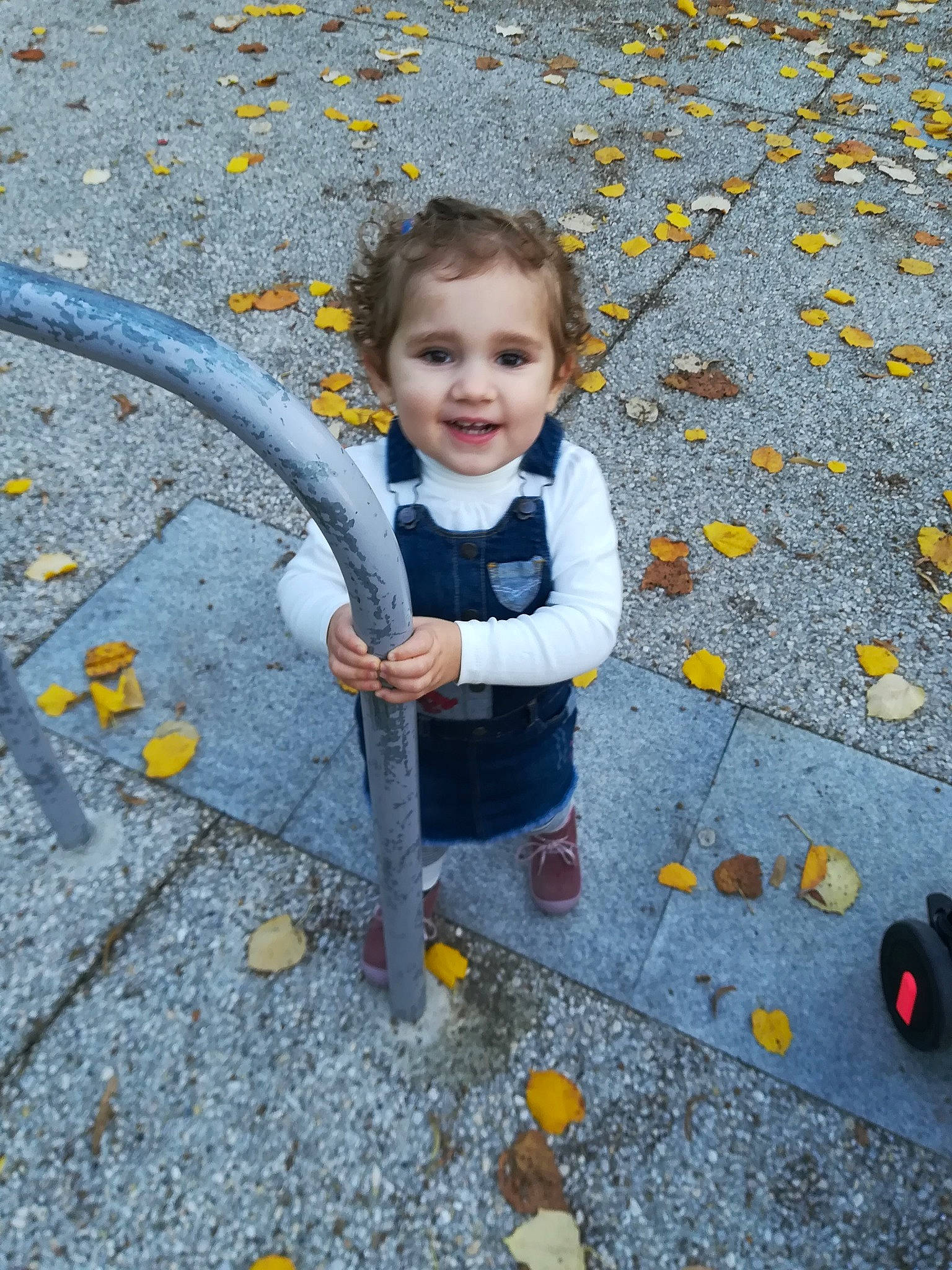 Zélia a rejoint le concours — aidez-le/la à gagner de superbes lots ! autumn, child, fun, joy, leaf, person, plant, play, smile, toddler, tree