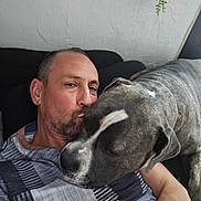 Uranos participe au concours pour gagner de l'argent avec cette photo : man, dog, couch, indoor, affection, pet, love, casual_clothing, relaxed, face, head, beard, short_hair, grey_dog, striped_shirt, plant, wall, closeup, human, animal