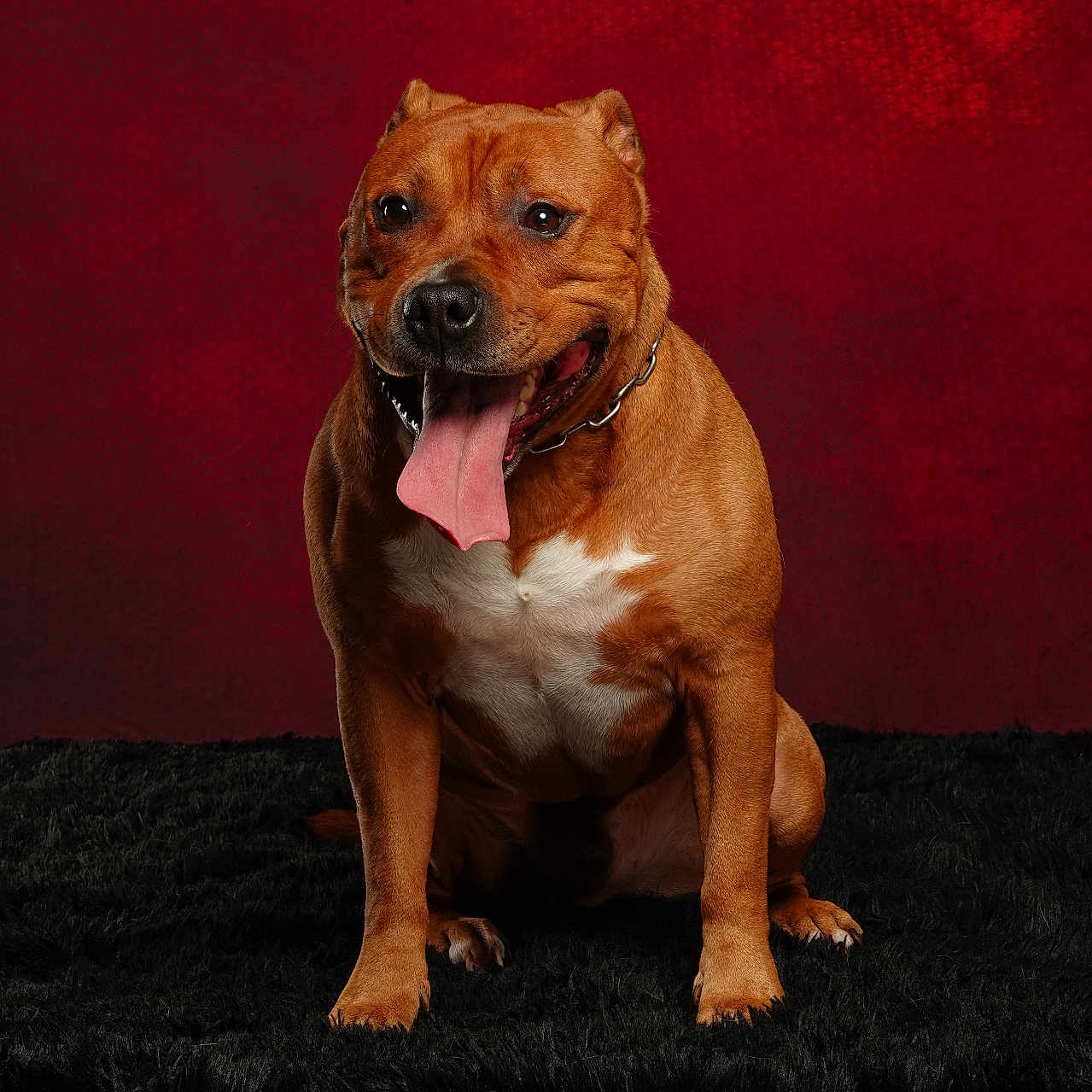 Paolo