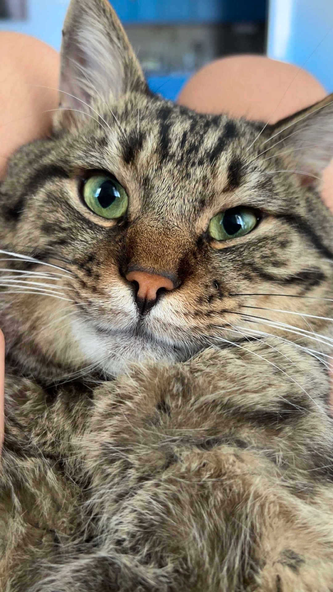 Milo
