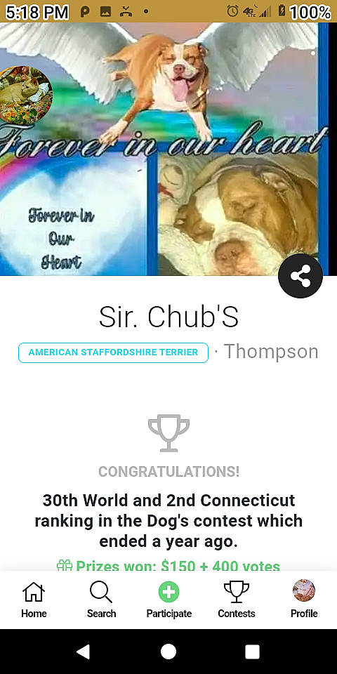 Mikey is registered to the contest to win money with this photo: advertising, art, brand, carnivore, cat, circle, companion_dog, dog_breed, felidae, font, happy, logo, photo_caption, product, screenshot, small_to_medium_sized_cats, whiskers