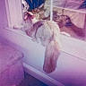 cat, fluffy, windowsill, reflection, indoor, feline, curious, tail, purple_tint, vintage_style, cozy, pet, animal, window, relaxed, domestic, fur, soft_lighting, home, resting
