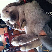 Patate a rejoint le concours — aidez-le/la à gagner de superbes lots !