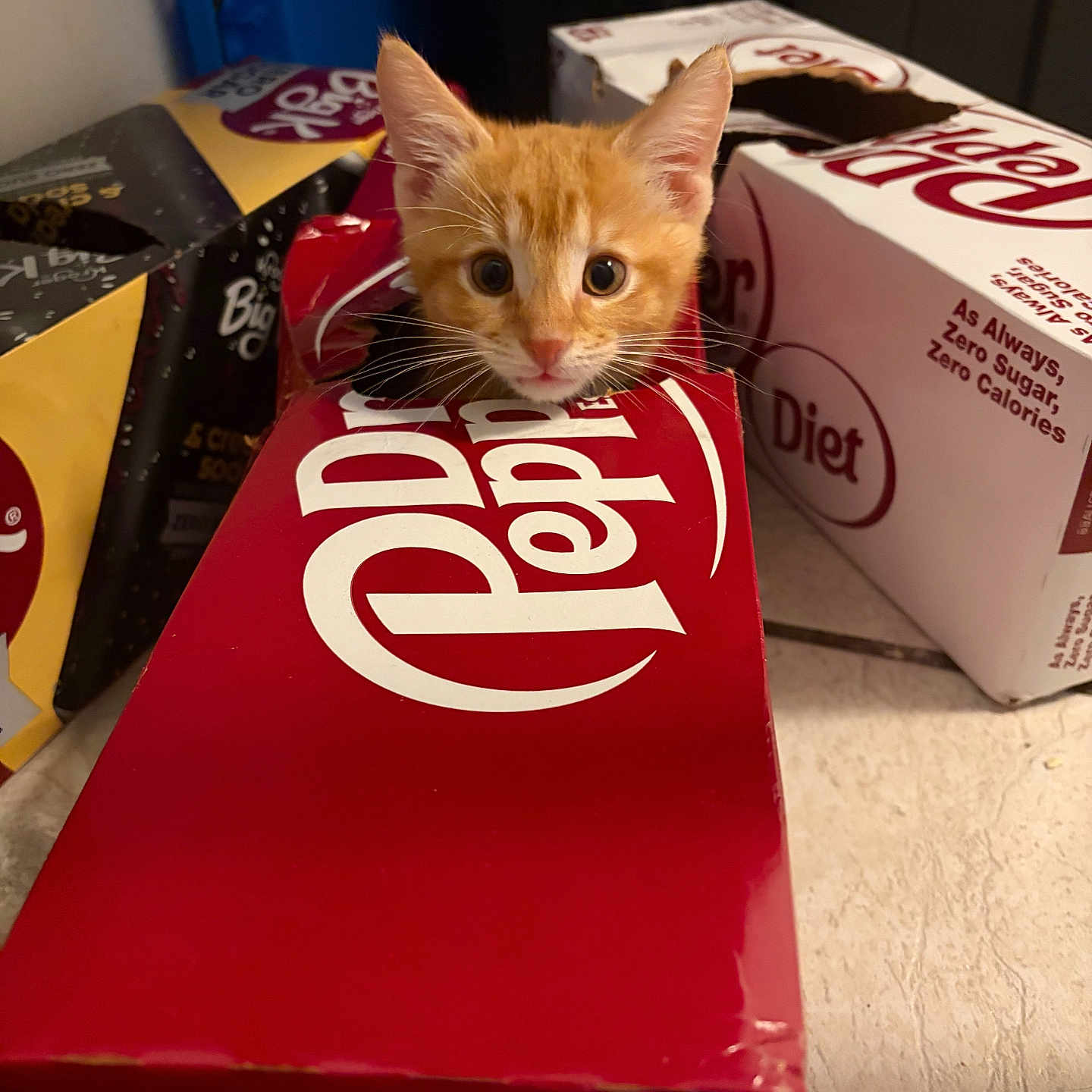 Simba