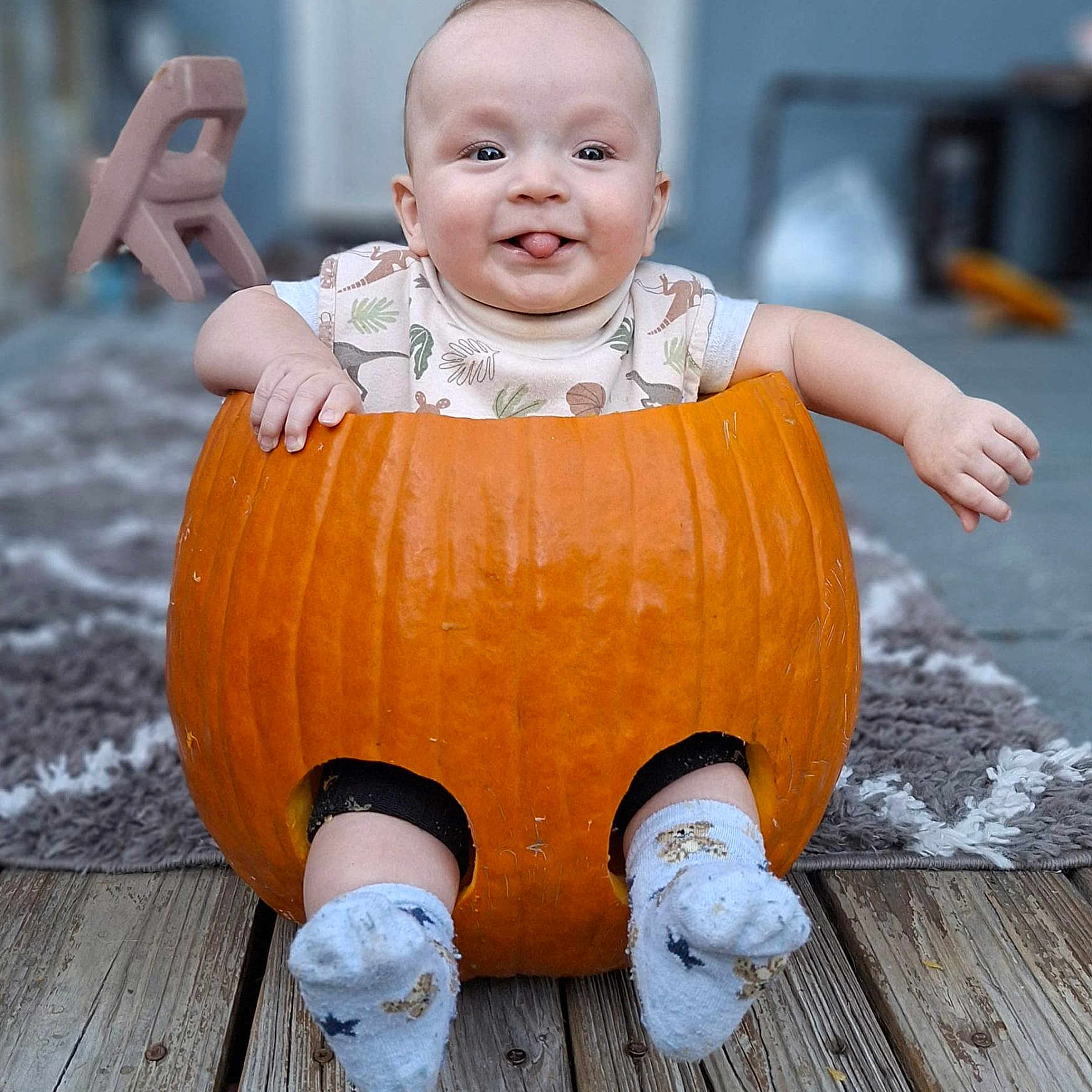 Thomas is registered to the contest to win money with this photo: baby, baby_clothes, carved_pumpkin, child, cute, decor, face, floor, funny, halloween, holiday, indoor, infant, person, playful, pumpkin, smiling, socks, tongue_out, wooden_floor