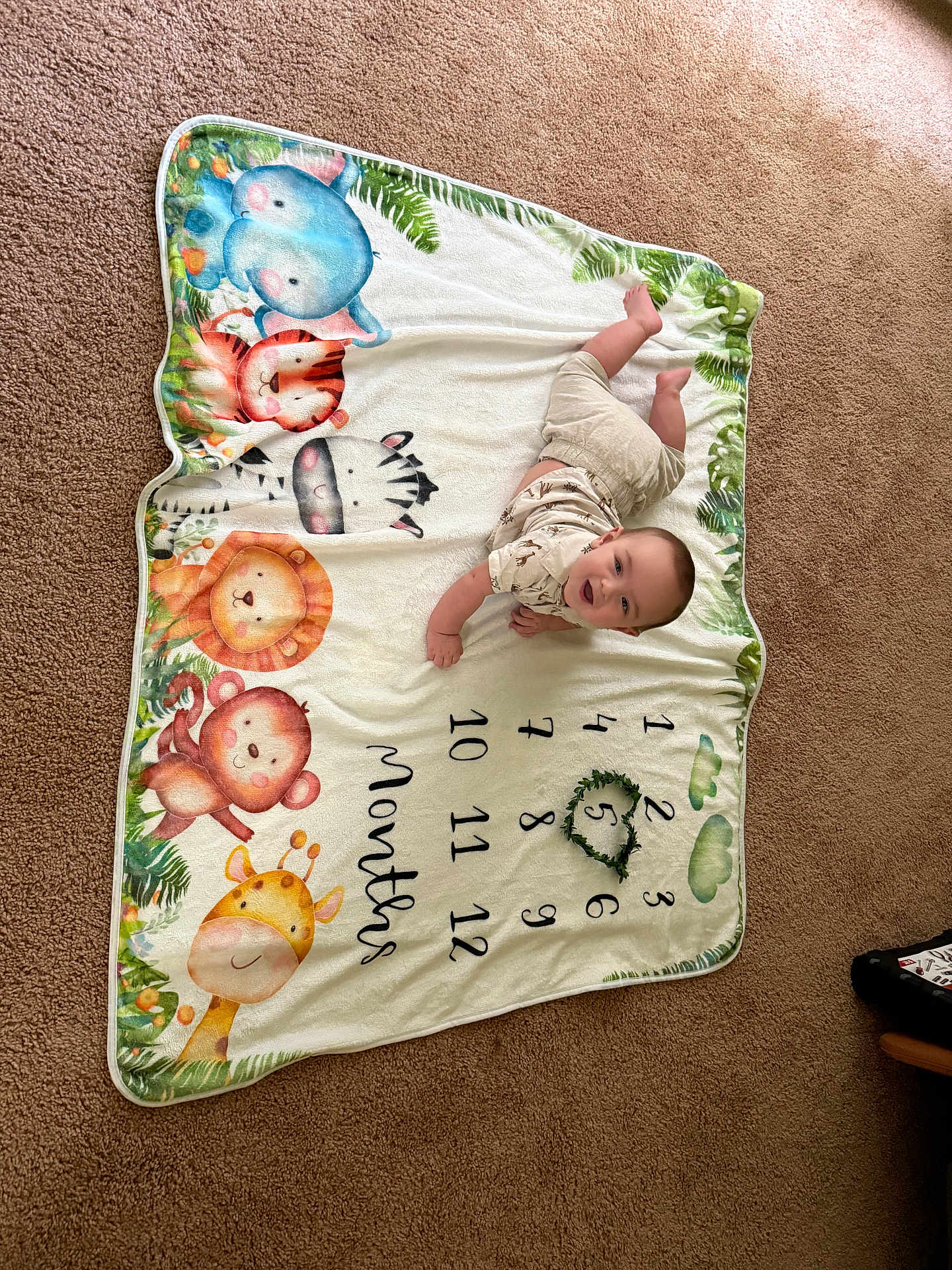 Walker is registered to the contest to win money with this photo: baby, child, milestone_blanket, animal_illustrations, giraffe, monkey, lion, zebra, tiger, elephant, carpet, floor, months, wreath, cute, smiling, lying_down, indoors, clothing, infant