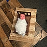 newborn, baby, swaddled, wooden_bed, pillow, rug, wood_floor, carpet, indoor, baby_wrap, portrait, infant, cute, resting, cozy, small_bed, flooring, warm, child, sleeping_area