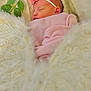 newborn, baby, sleeping, pink_blanket, headband, flower, soft_texture, fluffy, white, green_leaves, closeup, portrait, peaceful, infant, cute, resting, cozy, indoor, soft_lighting, wrapped