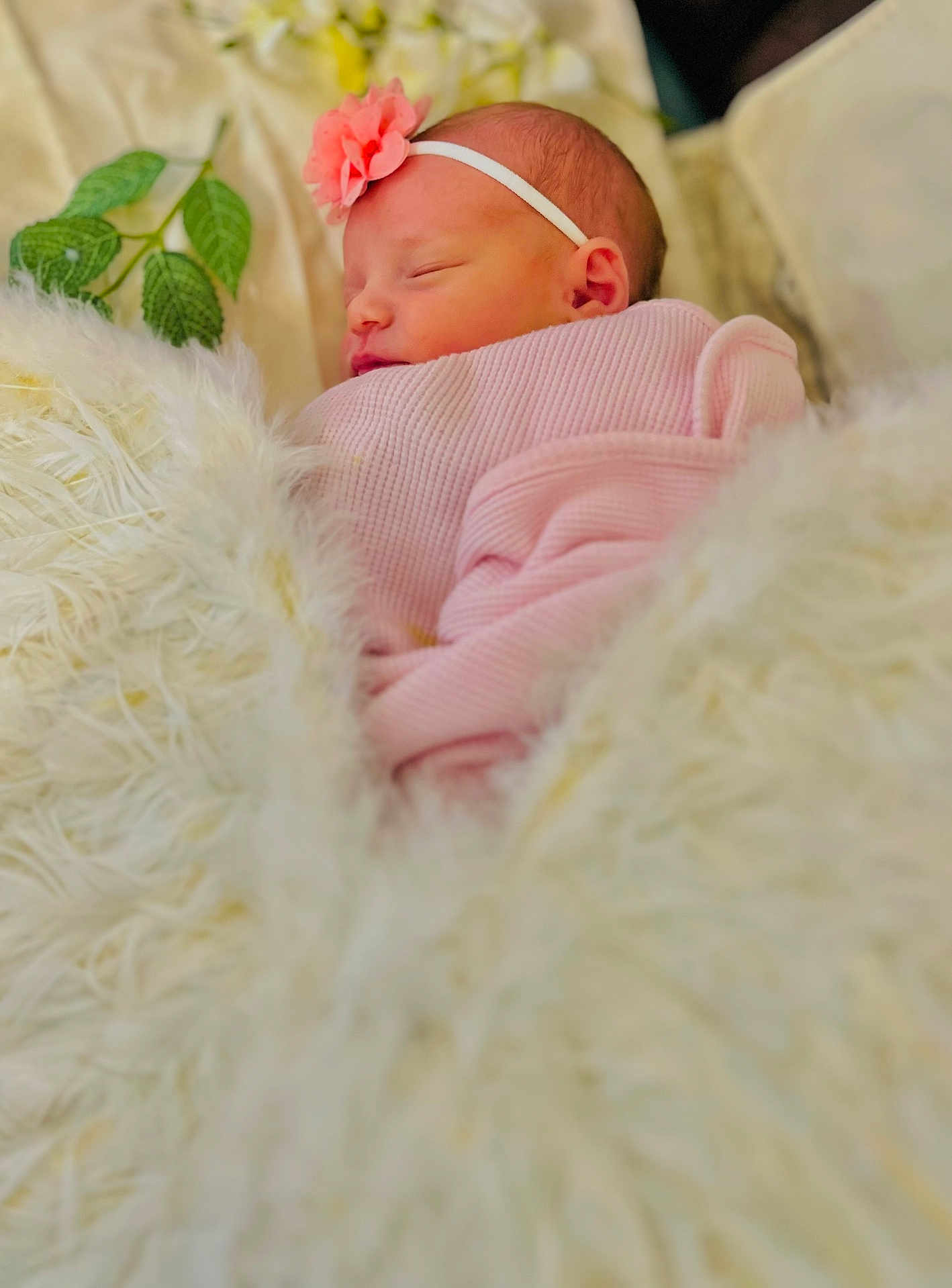 Kenzleigh is registered to the contest to win money with this photo: newborn, baby, sleeping, pink_blanket, headband, flower, soft_texture, fluffy, white, green_leaves, closeup, portrait, peaceful, infant, cute, resting, cozy, indoor, soft_lighting, wrapped