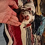 Max joined the competition — help win amazing prizes! companion_dog, dog, dog_breed, fawn, finger, flesh, fur, gesture, hand, nail, pattern, plaid, shawl, sleeve, tartan, thumb, wood, wool, wrinkle, wrist