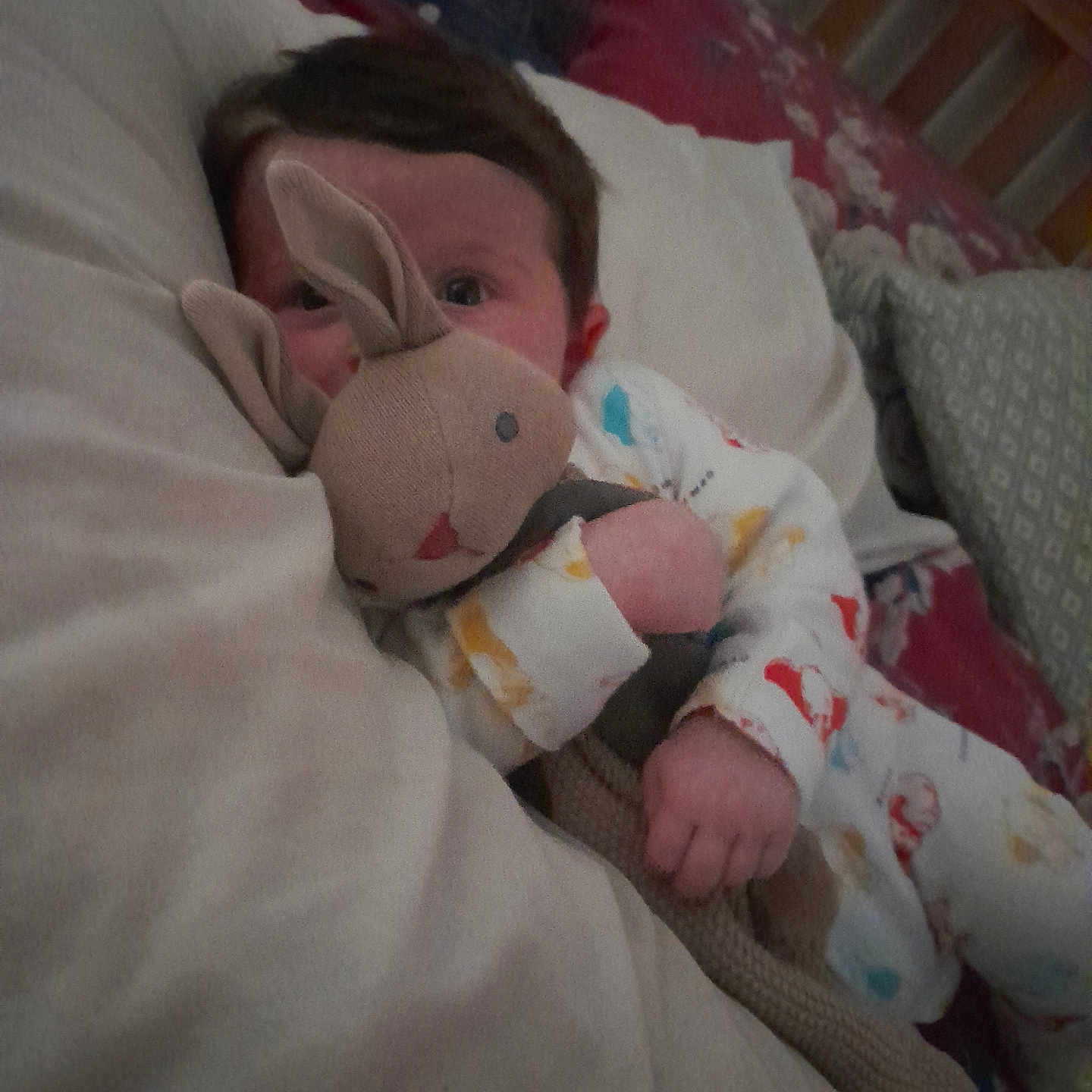 Amelie is registered to the contest to win money with this photo: baby, bed, blanket, bunny, child, clothing, comfort, cuddle, cute, face, furniture, hand, pillow, plush_toy, portrait, sleepwear, soft, toy, young, young_child