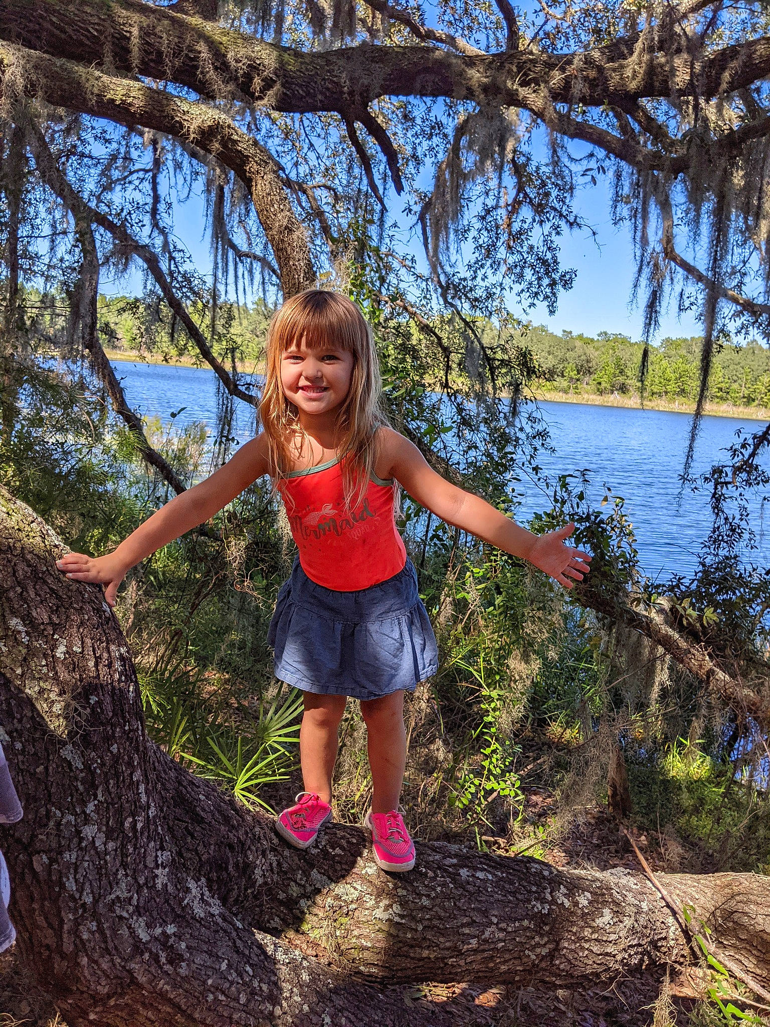 Brylee is registered to the contest to win money with this photo: botany, branch, forest, fun, grass, happy, joy, lake, leaf, leisure, nature, people_in_nature, person, plant, sky, smile, summer, tree, trunk, vegetation