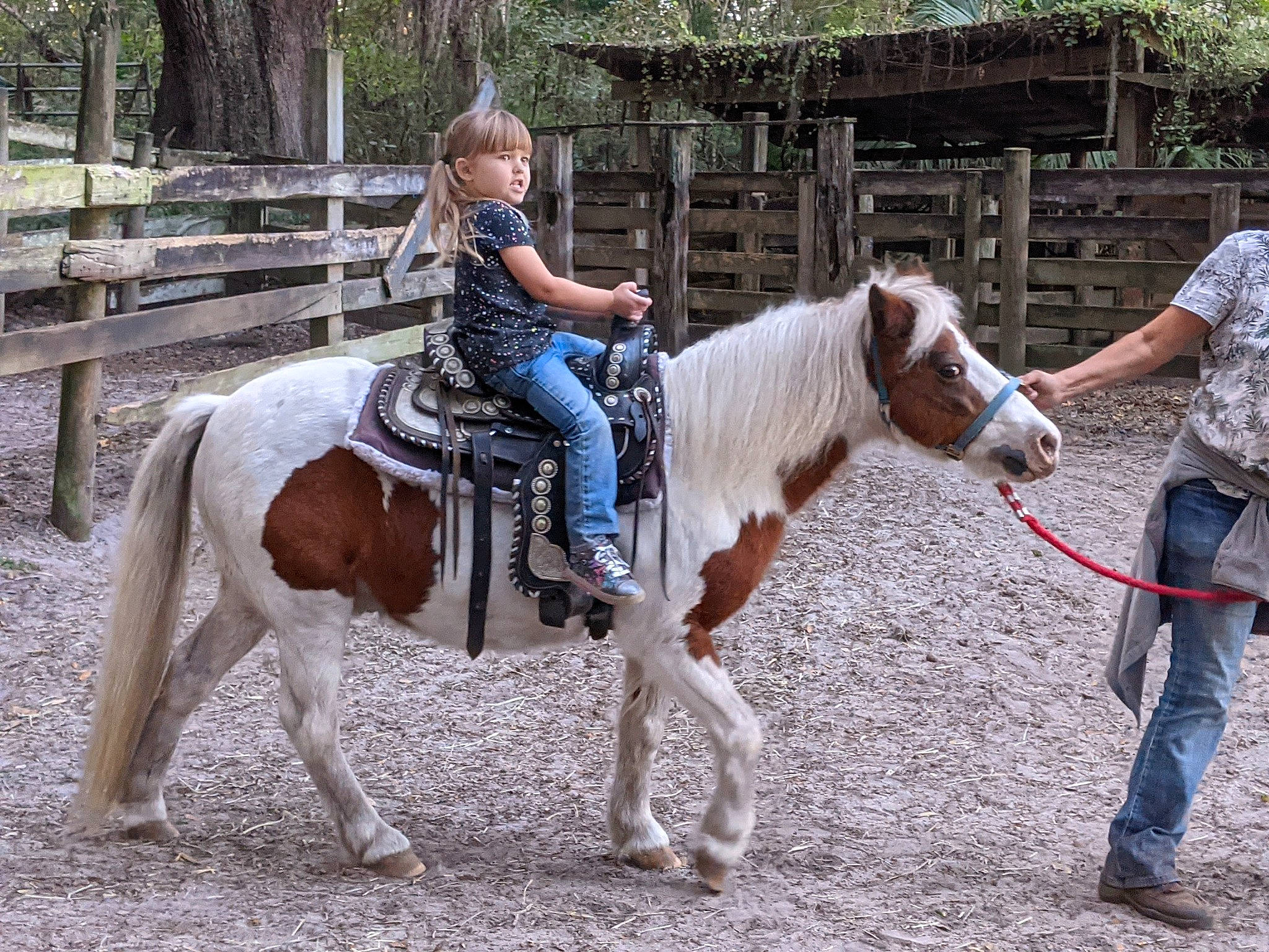 Brylee is registered to the contest to win money with this photo: animal_sports, bit, bridle, equestrian_sport, equestrianism, fun, horse, horse_supplies, horse_tack, landscape, mane, outdoor_recreation, pack_animal, person, plant, ranch, recreation, rein, saddle, tree