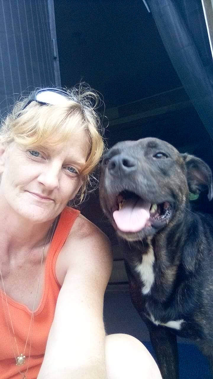 Pup Pup is registered to the contest to win money with this photo: carnivore, companion_dog, dog, dog_breed, dog_collar, fang, fawn, flash_photography, fun, fur, gesture, happy, jaw, mammal, selfie, smile, snout, sporting_group, vest, working_animal