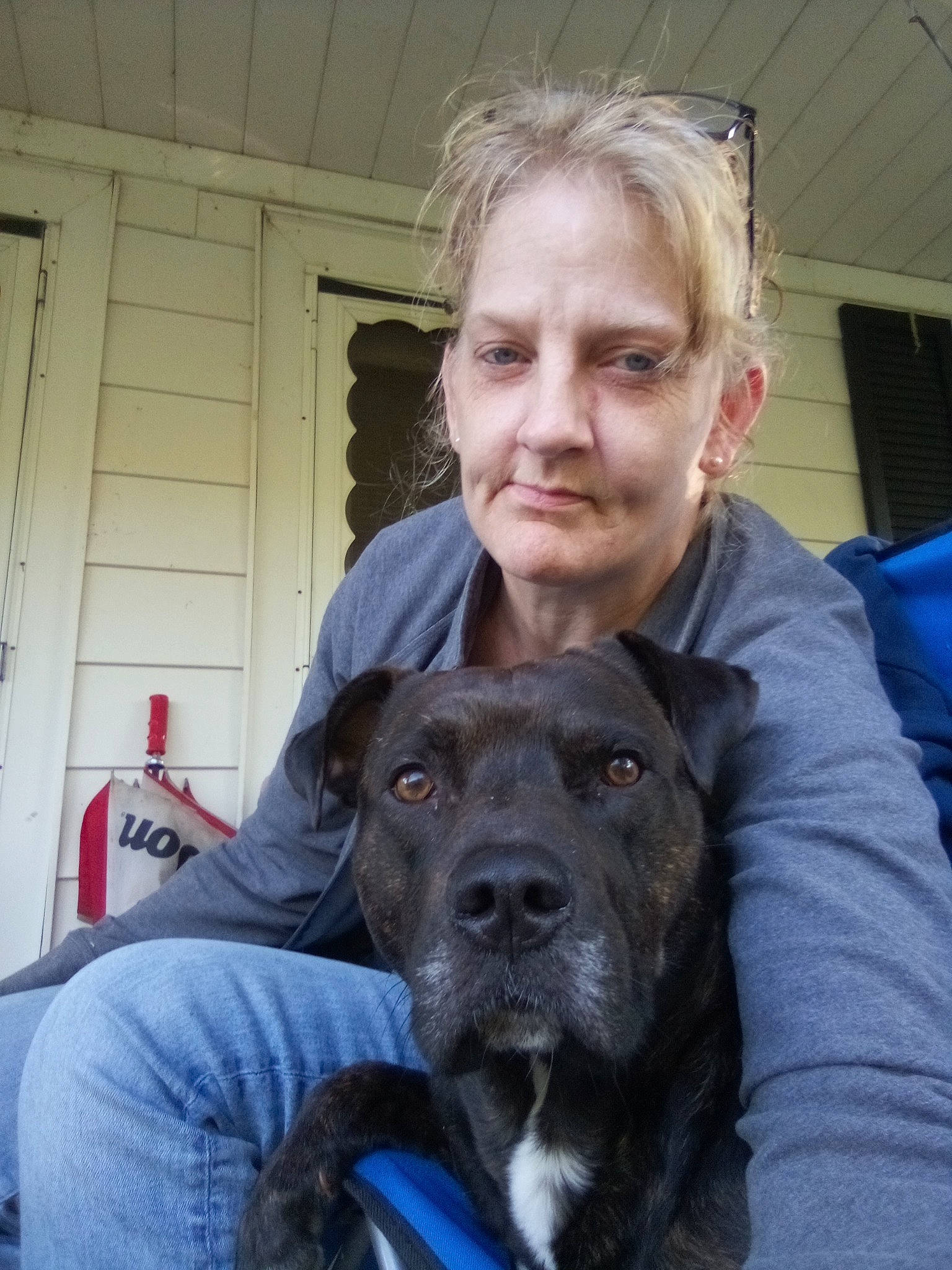 Pup Pup joined the competition — help win amazing prizes! borador, canidae, carnivore, companion_dog, dog, dog_breed, dog_collar, door, electric_blue, fawn, fur, guard_dog, non_sporting_group, selfie, sitting, snout, sporting_group, t_shirt, working_dog, wrinkle