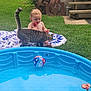 child, toddler, cat, popsicle, blanket, grass, backyard, pool, beach_ball, toy, summer, outdoor, playing, cute, pet, animal, water, relaxing, sunny, fun