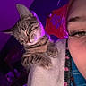 Handsome is registered to the contest to win money with this photo: cat, tabby_cat, pet, animal, sleeping, close_up, face, person, blanket, indoor, purple_light, cozy, feline, resting, soft_texture, eyelashes, paw, cute, warm, relaxed
