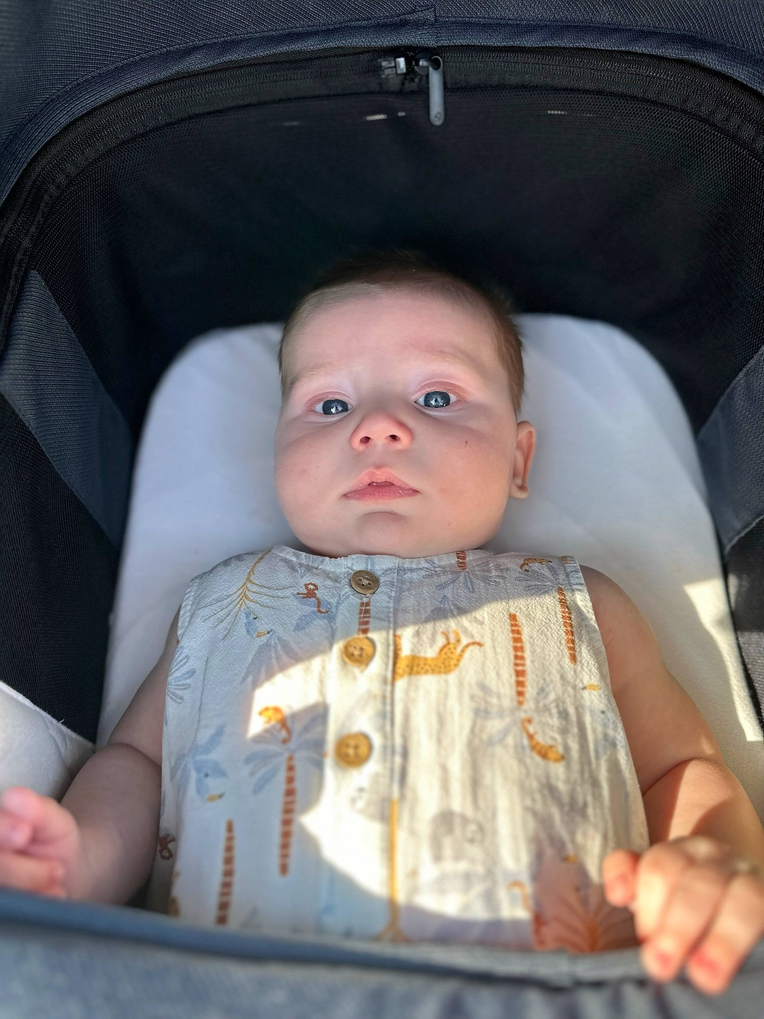 Max joined the competition — help win amazing prizes! arm, baby, baby_safety, baby_toddler_clothing, car_seat, chair, cheek, child, chin, comfort, eye, eyebrow, iris, mouth, nose, person, product, seat_belt, skin, sleeve