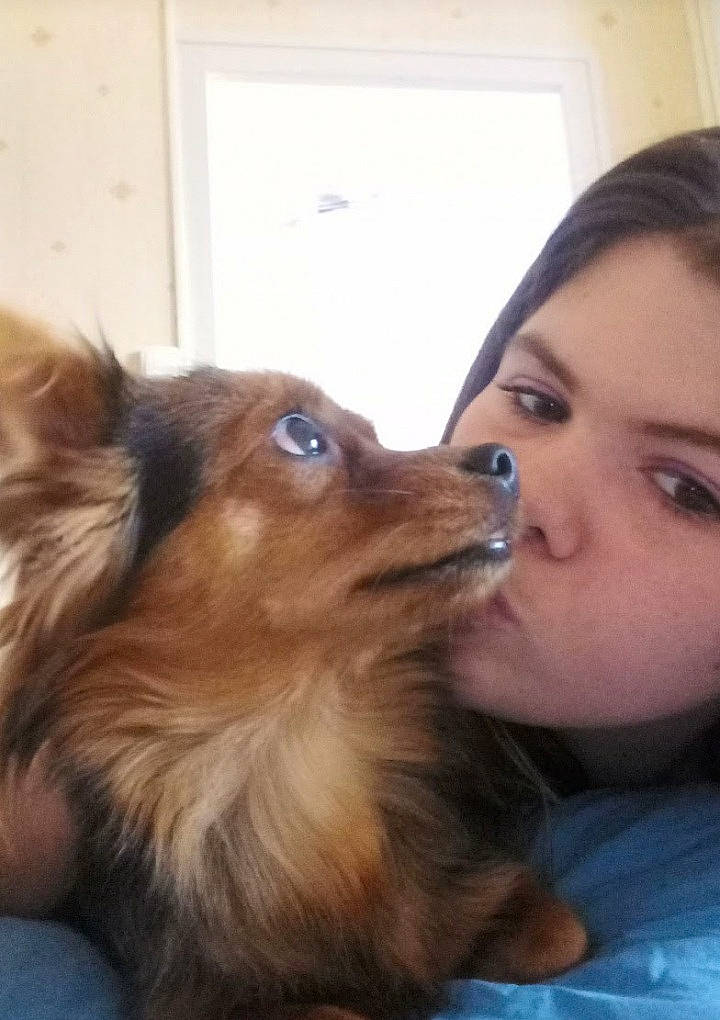 Iris a rejoint le concours — aidez-le/la à gagner de superbes lots ! brown_hair, carnivore, companion_dog, dog, dog_breed, ear, eyelash, fawn, gesture, happy, head, jaw, lip, liver, long_hair, nose, selfie, snout, whiskers, working_animal