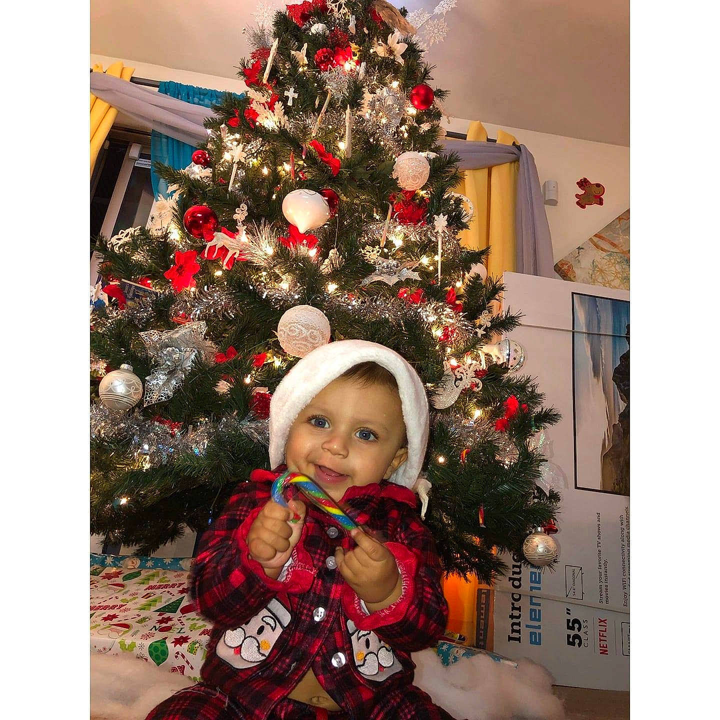 Orion is registered to the contest to win money with this photo: christmas, christmas_decoration, christmas_ornament, christmas_tree, decor, event, fir, holiday, person, tree