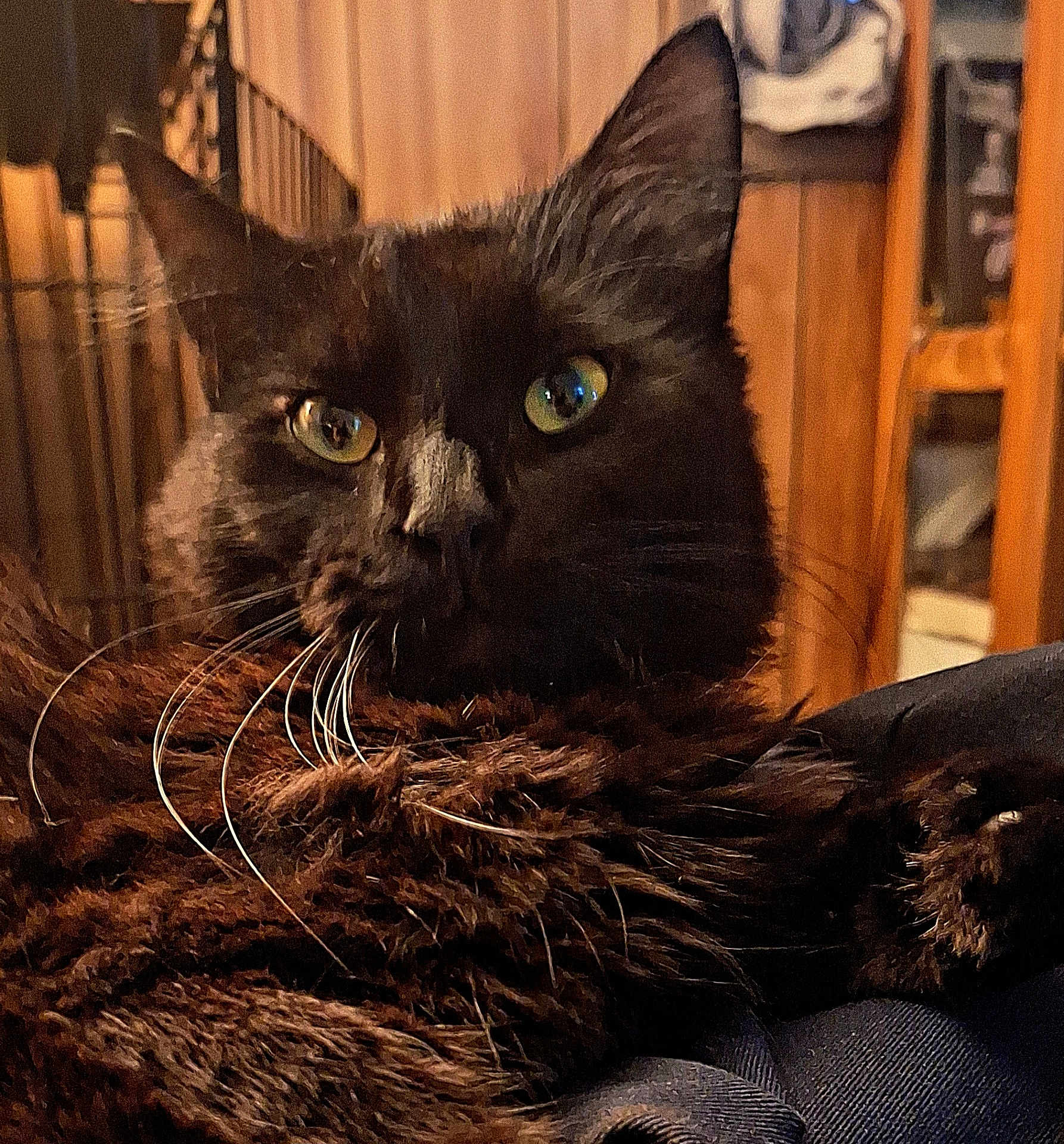 Binx