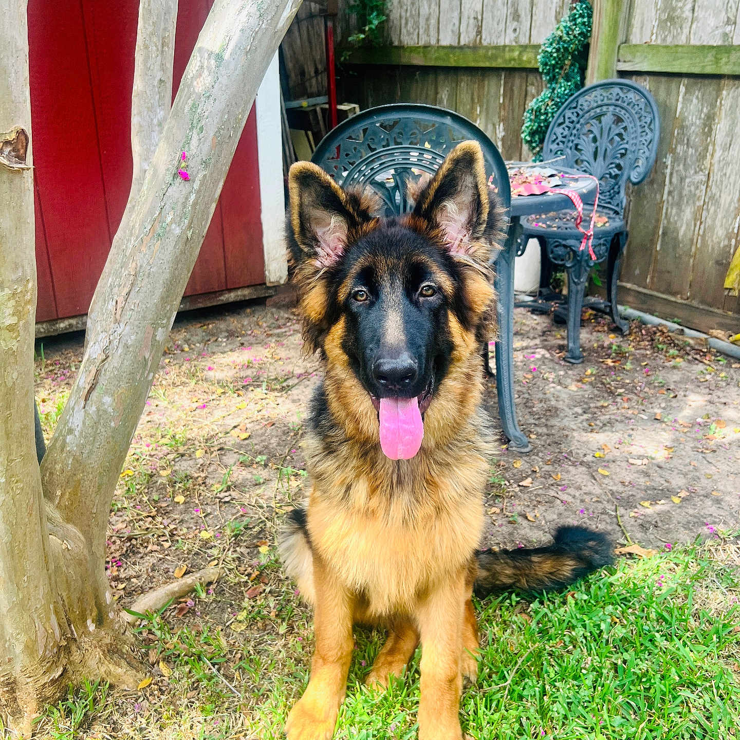Kane