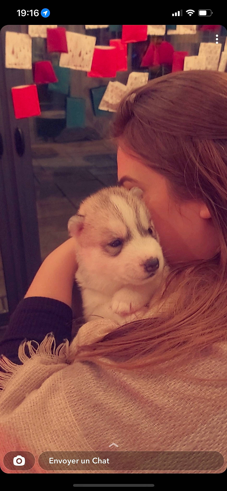 Skoll a rejoint le concours — aidez-le/la à gagner de superbes lots ! blond, canidae, carnivore, chair, child, comfort, companion_dog, dog, dog_breed, ear, fawn, flooring, fun, fur, happy, snout, sporting_group, toy_dog, whiskers, working_animal