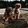 Charly Et Moka