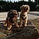 Charly Et Moka