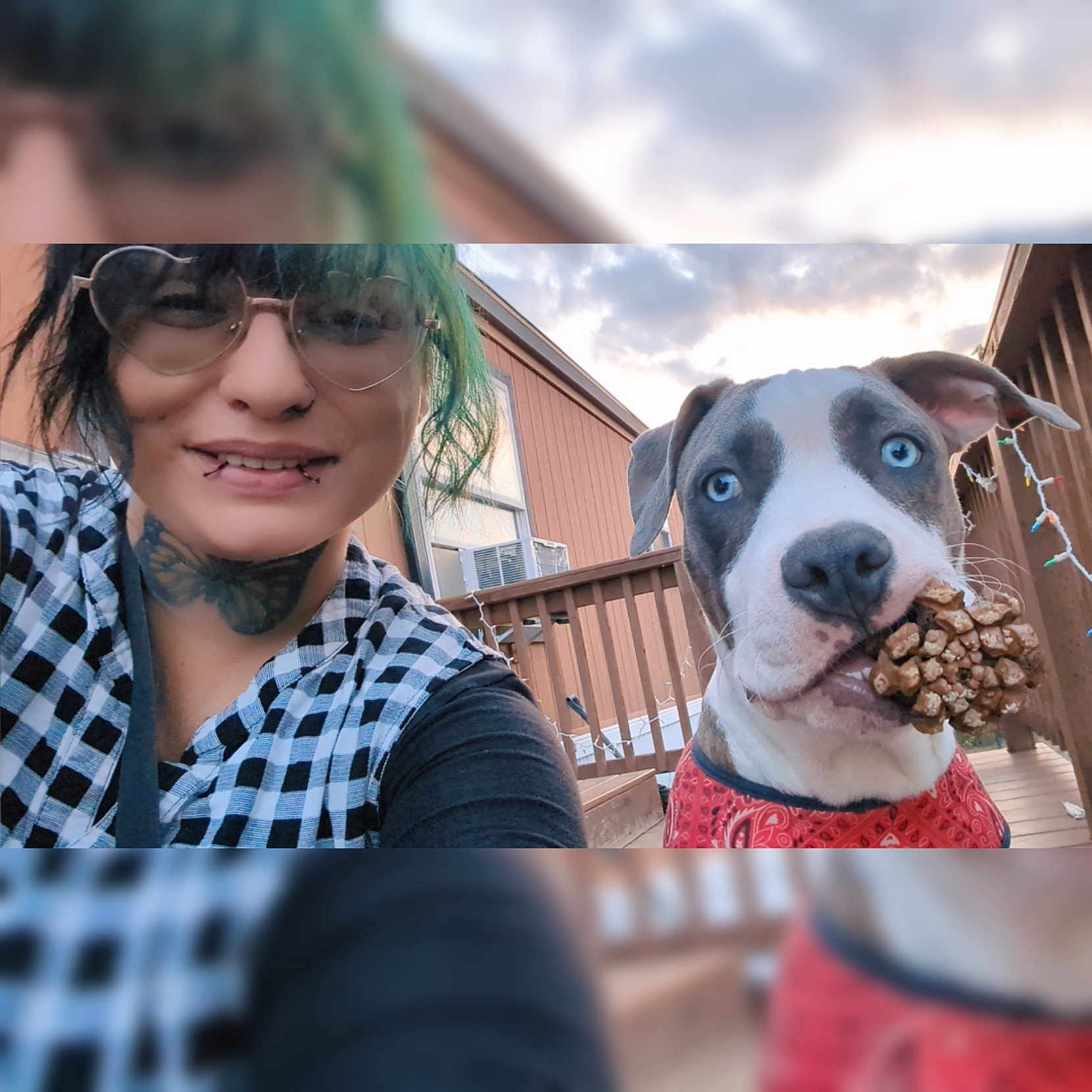 Scrim joined the competition — help win amazing prizes! bandana, blue_eyes, casual_clothing, clouds, dog, fence, glasses, green_hair, happy, lip_piercing, outdoor, person, pet, pine_cone, portrait, sky, smiling, tattoo, window, wooden_deck