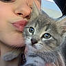 person, cat, kitten, face, close_up, cute, pet, animal, feline, young, indoor, portrait, holding, love, affection, whiskers, gray, tabby, eyes, skin