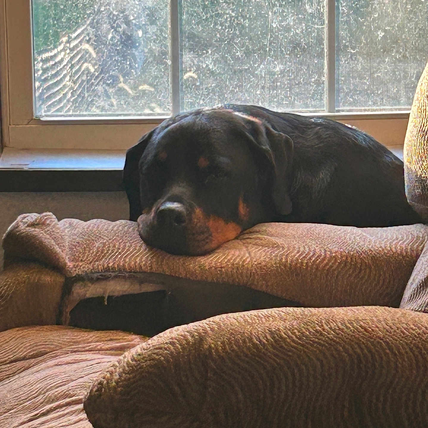 Kali