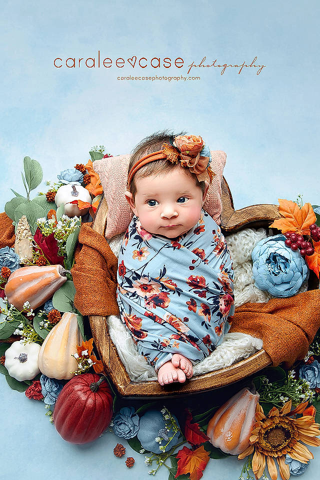 Annie joined the competition — help win amazing prizes! baby, baby_toddler_clothing, calabaza, child, doll, event, gourd, grass, happy, holiday, natural_foods, pattern, people_in_nature, person, pumpkin, sitting, squash, toddler, toy, vegetable