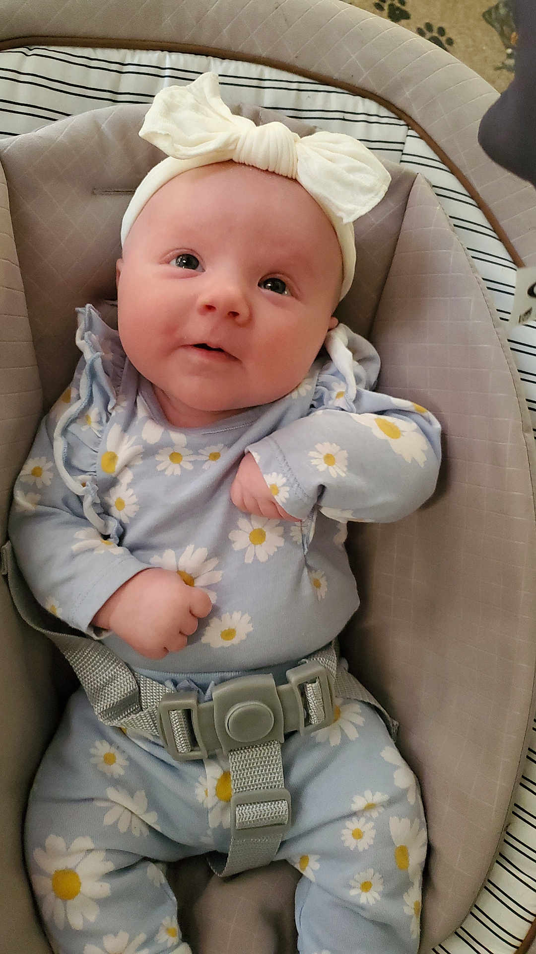 Paislee
