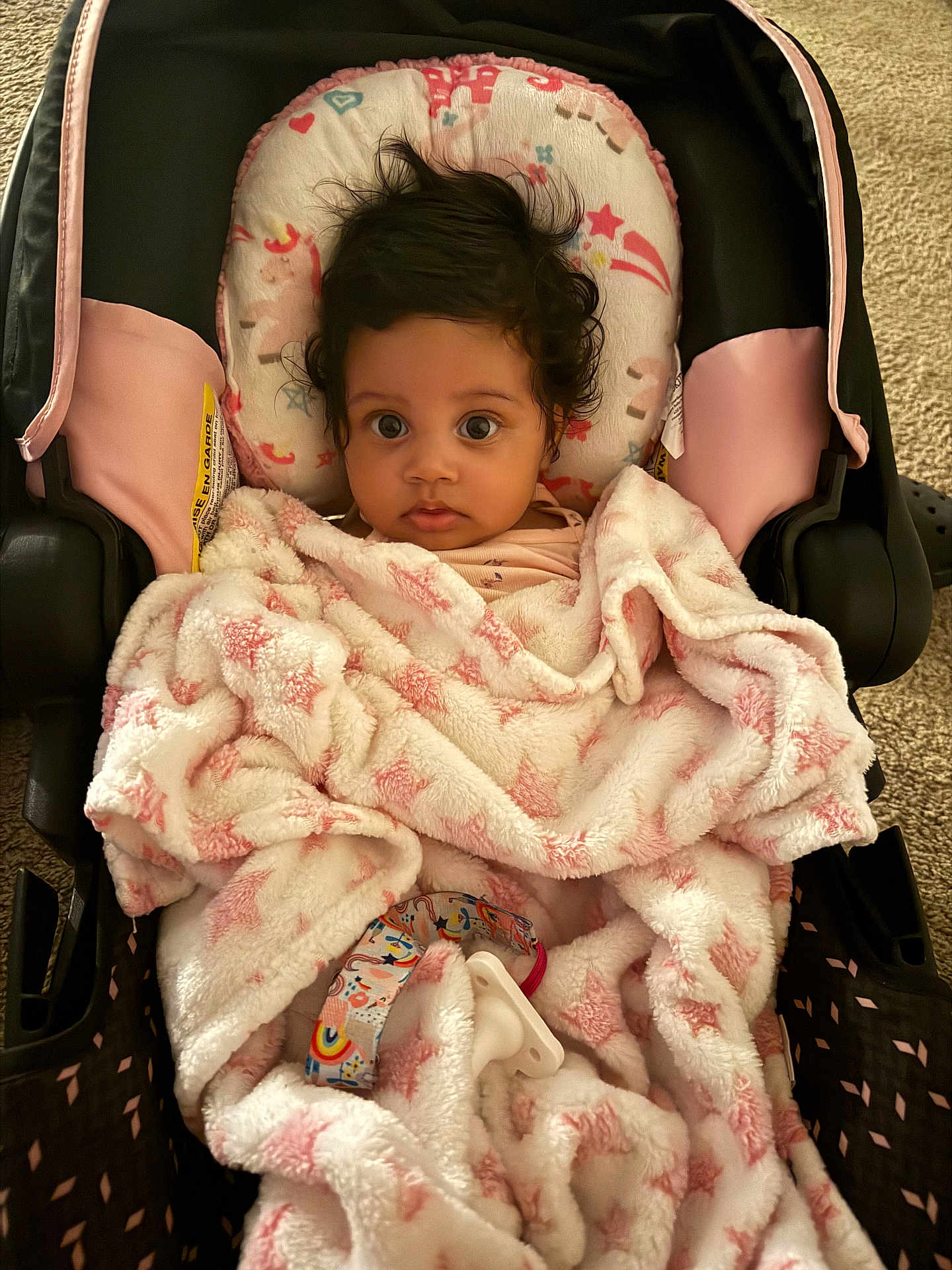 Alani