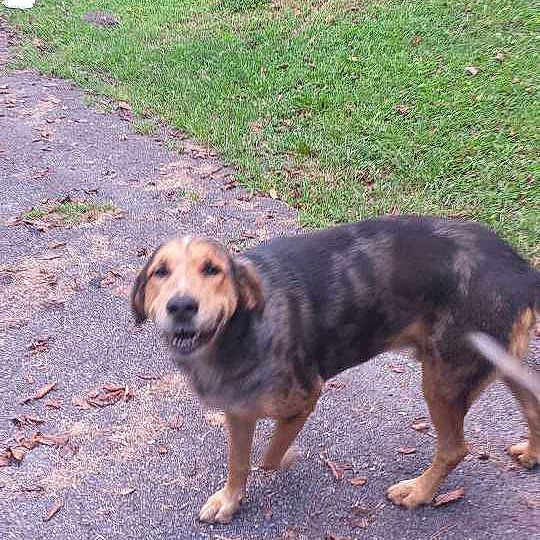 Buddy is registered to the contest to win money with this photo: