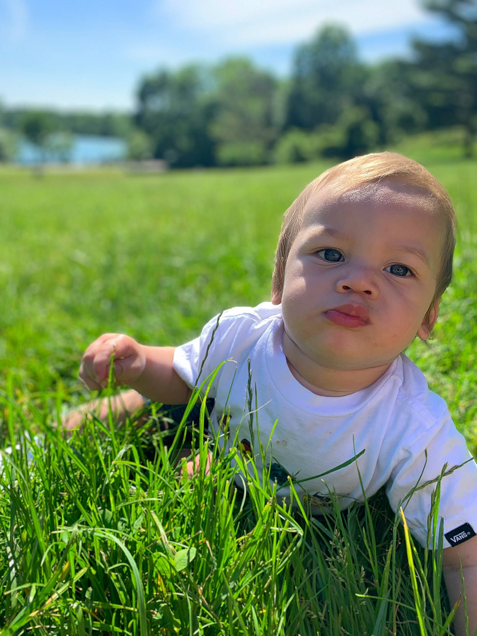 Jaci is registered to the contest to win money with this photo: baby, child, fun, grass, grass_family, grassland, green, happy, lawn, leaf, male, meadow, natural_environment, pasture, people_in_nature, person, plant, skin, spring, summer