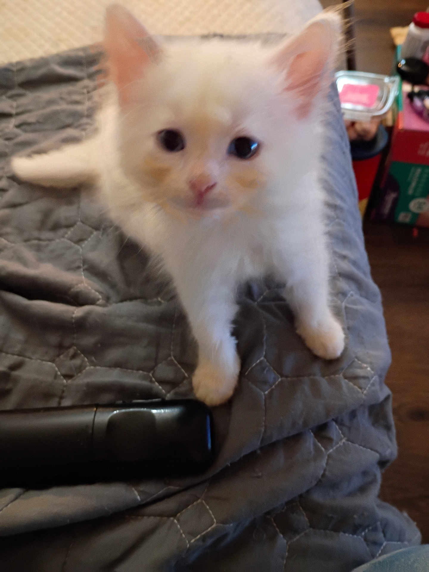 Luna