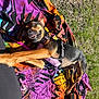 dog, outdoor, grass, blanket, colorful, happy, smiling, paw, harness, sunlight, pet, canine, playful, relaxed, nature, leash, animal, summer, fun, resting