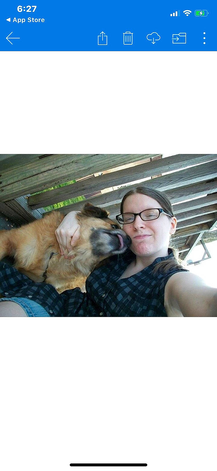 Harley is registered to the contest to win money with this photo: boxer, canidae, carnivore, companion_dog, dog, dog_breed, ear, fawn, french_bulldog, fur, glasses, non_sporting_group, nose, photography, pit_bull, pug, puppy, selfie, snapshot, sporting_group