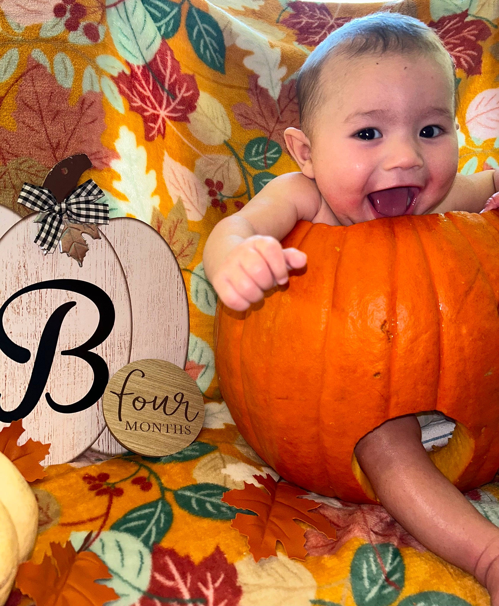Bellamy is registered to the contest to win money with this photo: arm, baby_toddler_clothing, calabaza, cucurbita, eye, gourd, happy, human_body, leaf, natural_foods, orange, person, plant, pumpkin, smile, squash, toddler, vegetable, whole_food, winter_squash