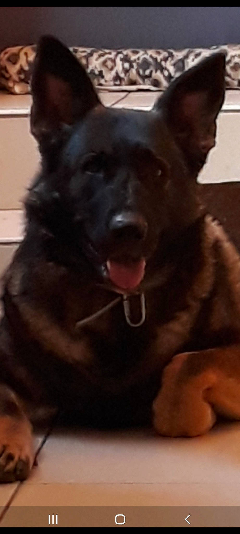 Roxie