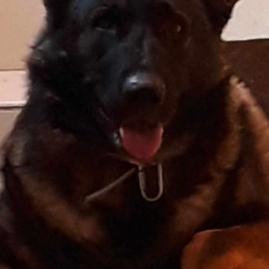 Roxie
