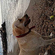 Dora participe au concours pour gagner de l'argent avec cette photo :