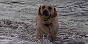 Dora participe au concours pour gagner de l'argent avec cette photo :