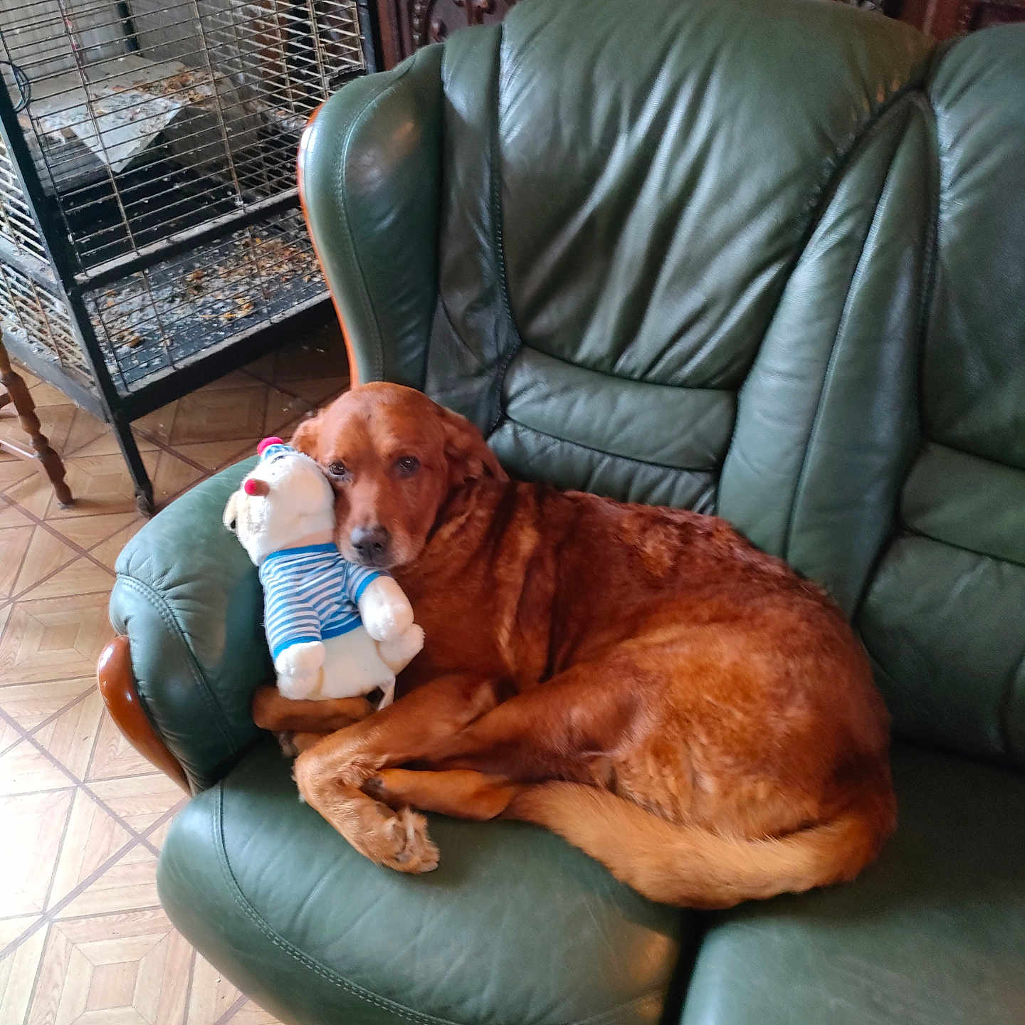 Caramel