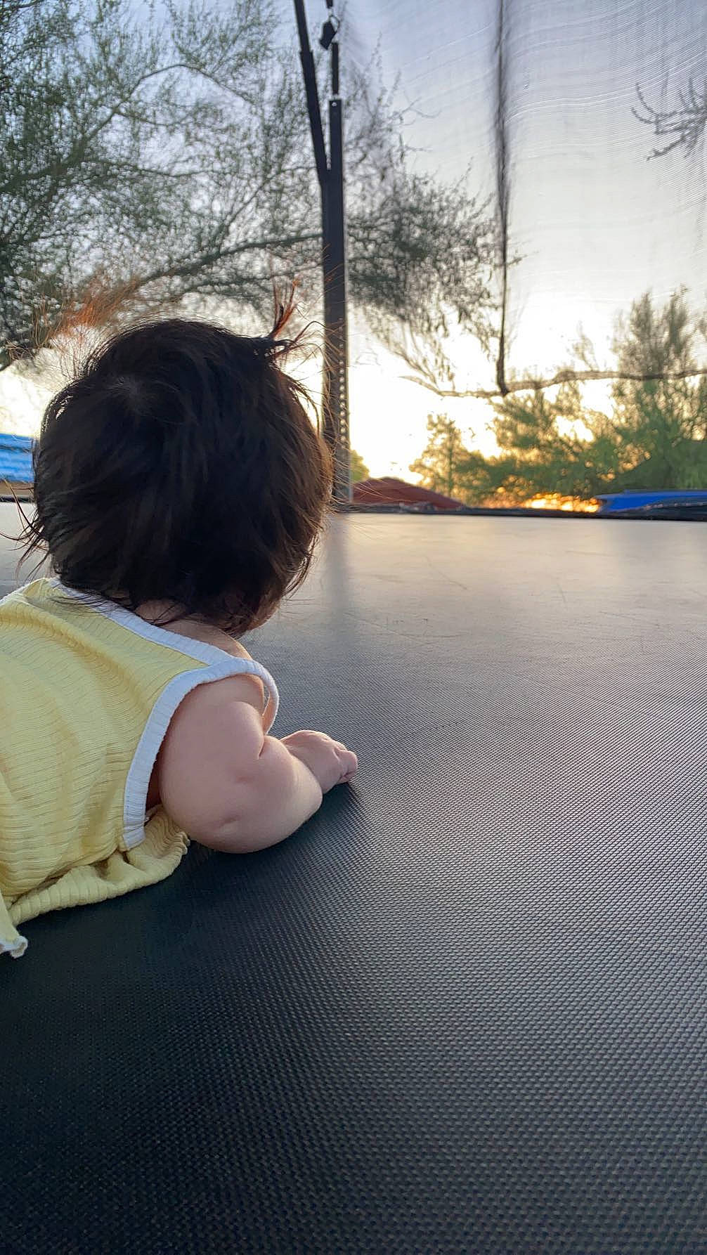 Carla joined the competition — help win amazing prizes! asphalt, baby, baby_toddler_clothing, flooring, foot, grass, human_leg, leisure, morning, person, road_surface, shadow, sitting, sky, sunlight, tints_and_shades, toddler, tree, window, winter