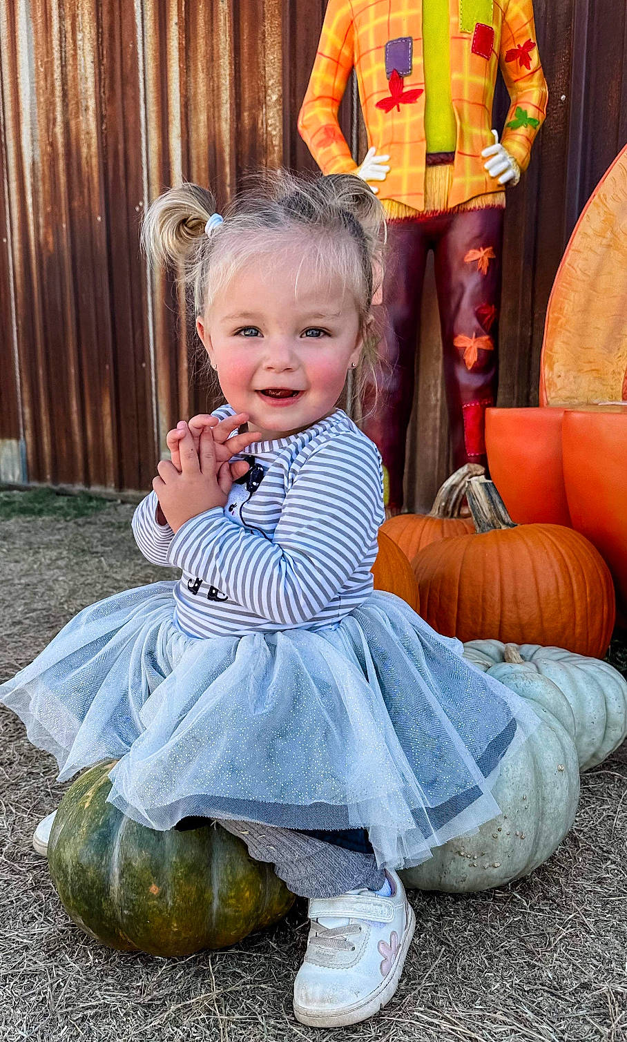Jameson joined the competition — help win amazing prizes! baby_toddler_clothing, calabaza, child, eye, face, fashion, fun, gourd, hairstyle, happy, head, human, joy, organ, people, person, photograph, pumpkin, shoe, smile