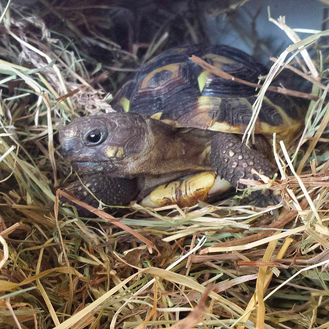 Nina participe au concours pour gagner de l'argent avec cette photo :